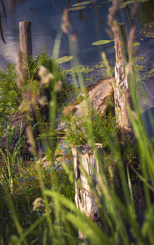 Перед грозой - Sergei Vikulov