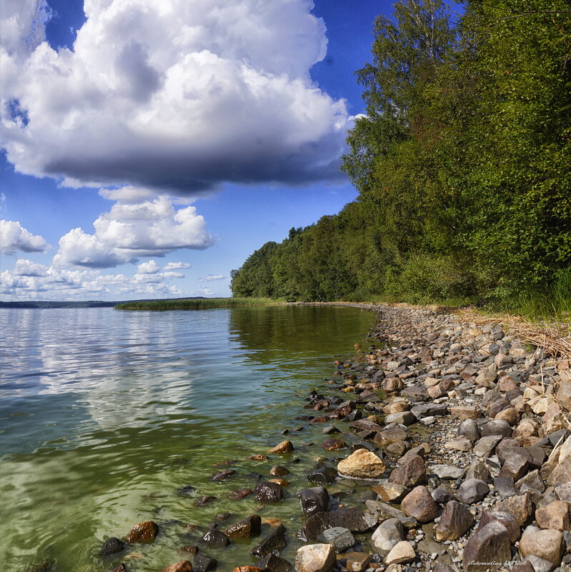 берег - Ольга Cоломатина