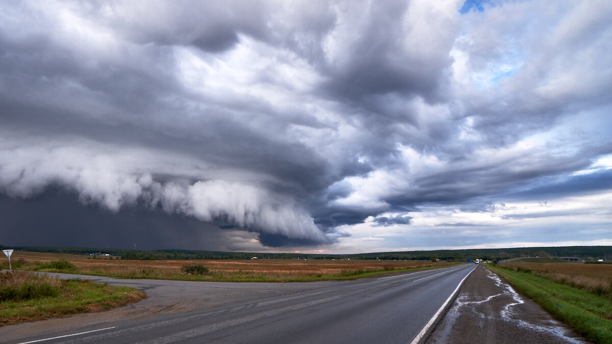 Фронт дождя - Василий Дворецкий