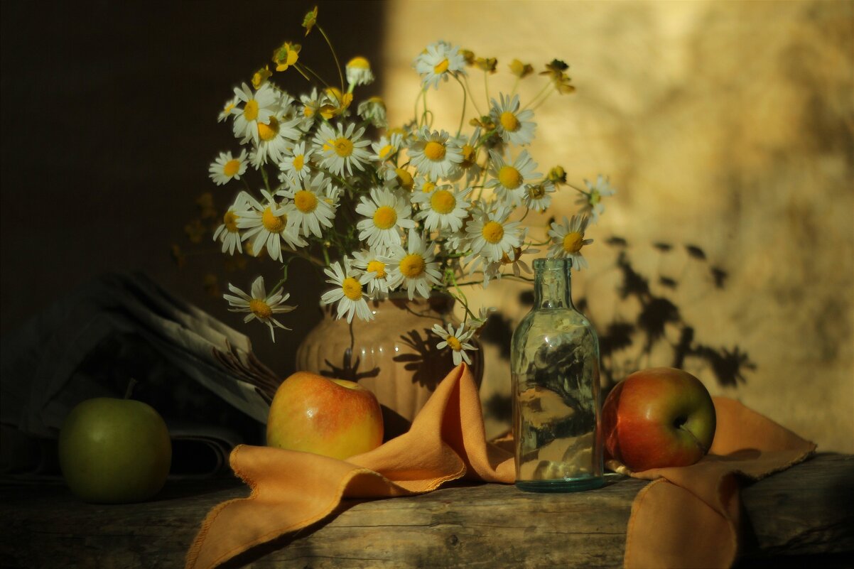 Ромашки - Валентина 