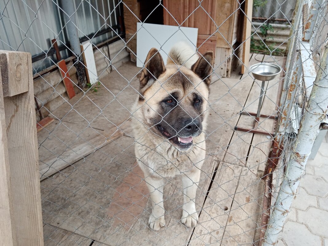 Рэй. - Alex 711402