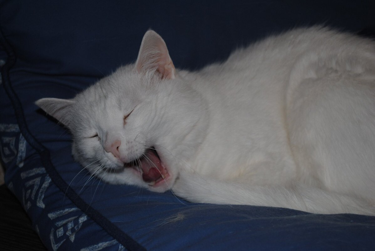 Спать давно пора, а вы тут фотки выкладываете ) - Сергей Б.