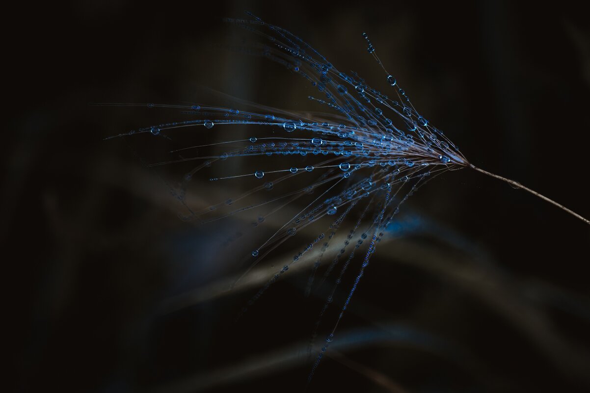 *** - Виктор Иванович Чернюк