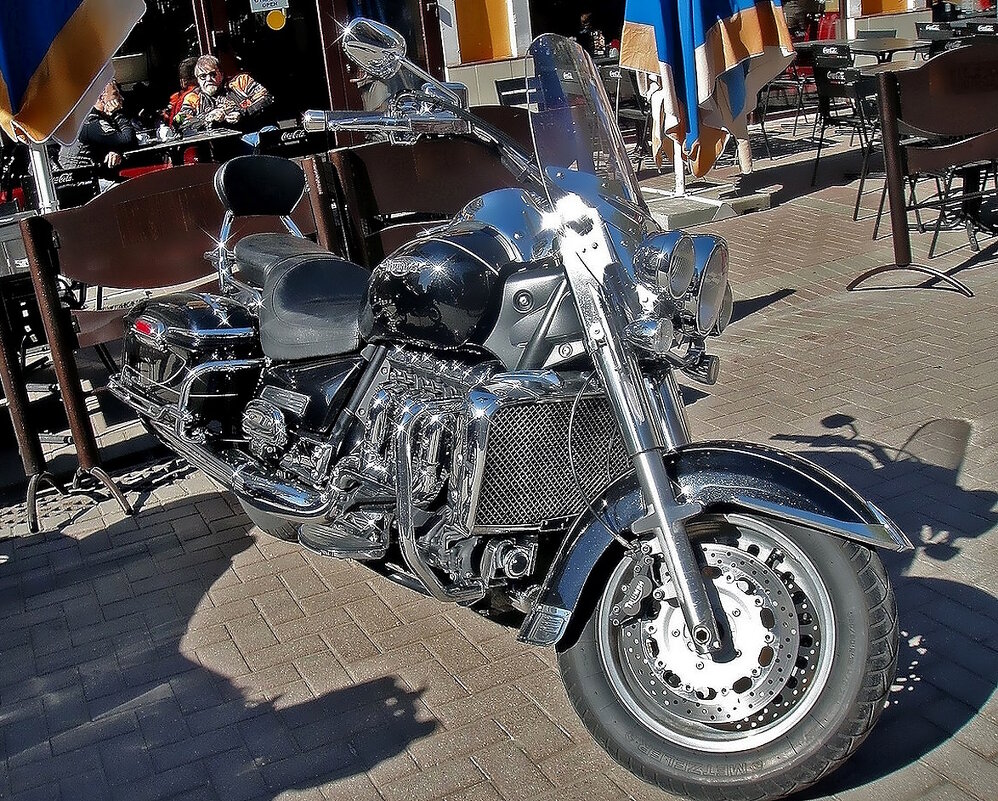 «Звёздный» друг байкера - Ольга Довженко