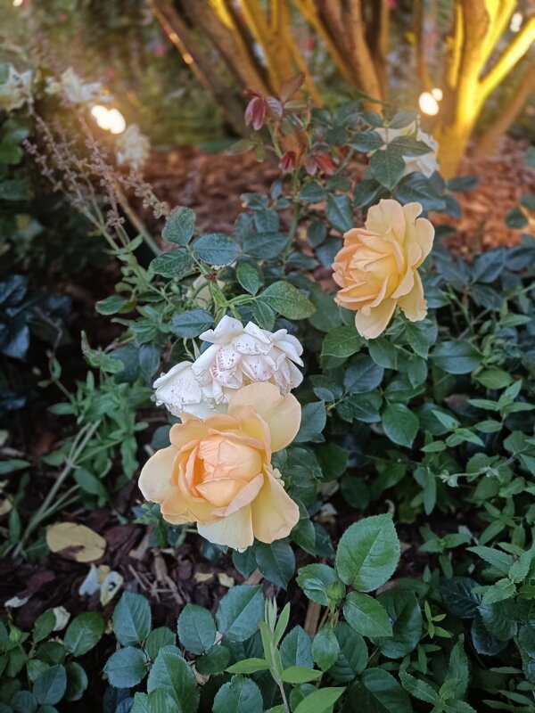 украшения фестиваля - Галина R...