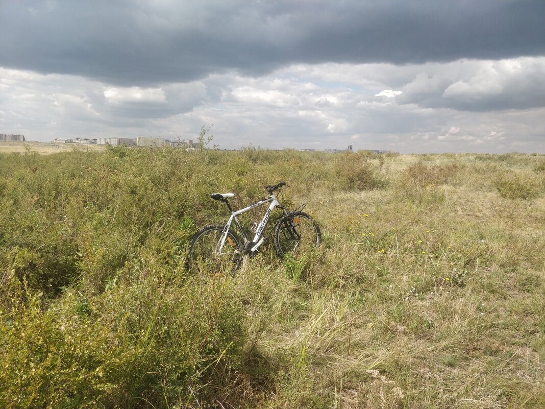 На велосипеде по степи - Андрей Хлопонин