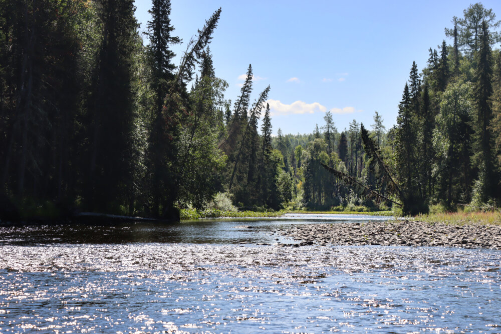 р. Северная Тошемка - Галина Ильясова