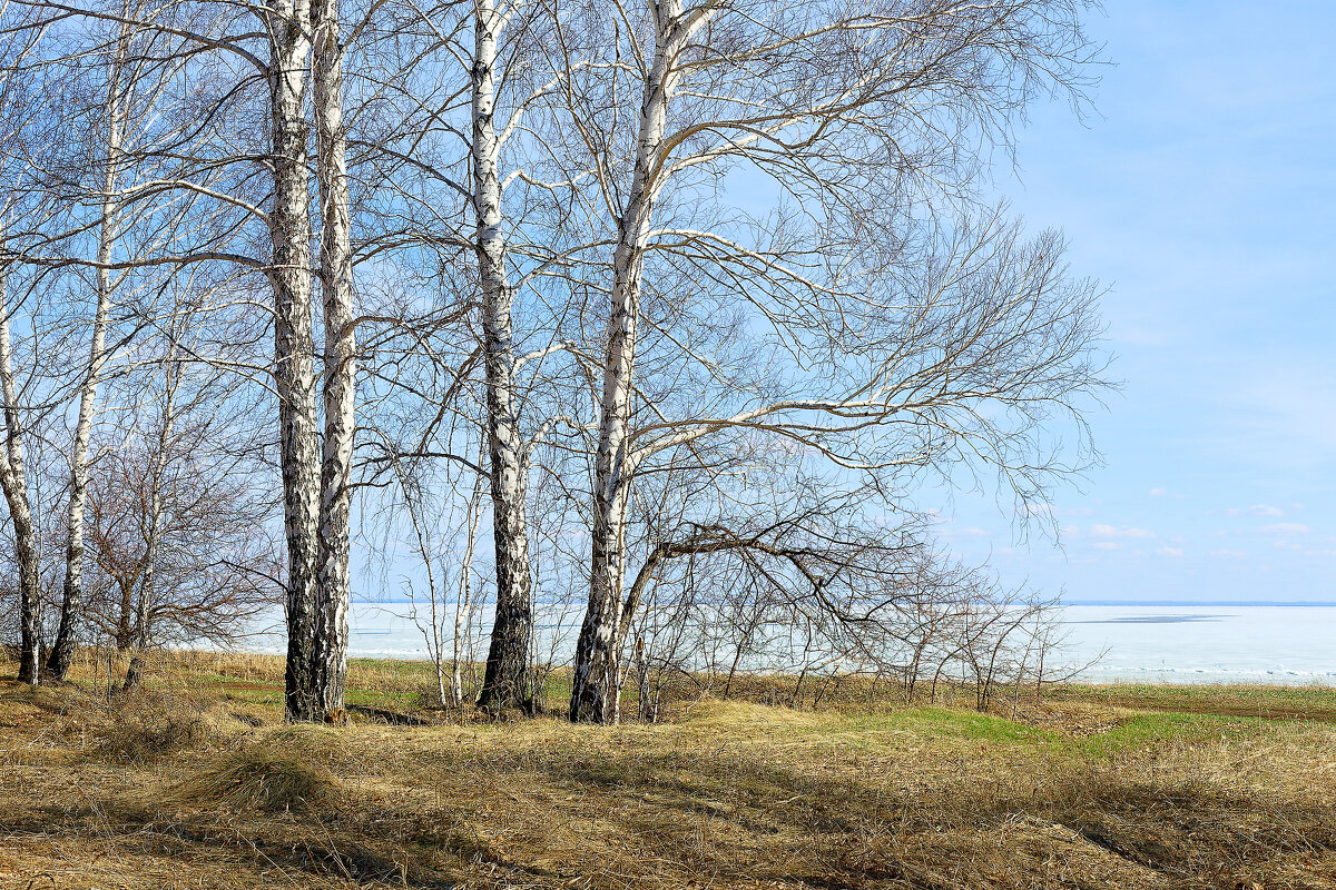 Весна на Обском водохранилище - Дмитрий Конев