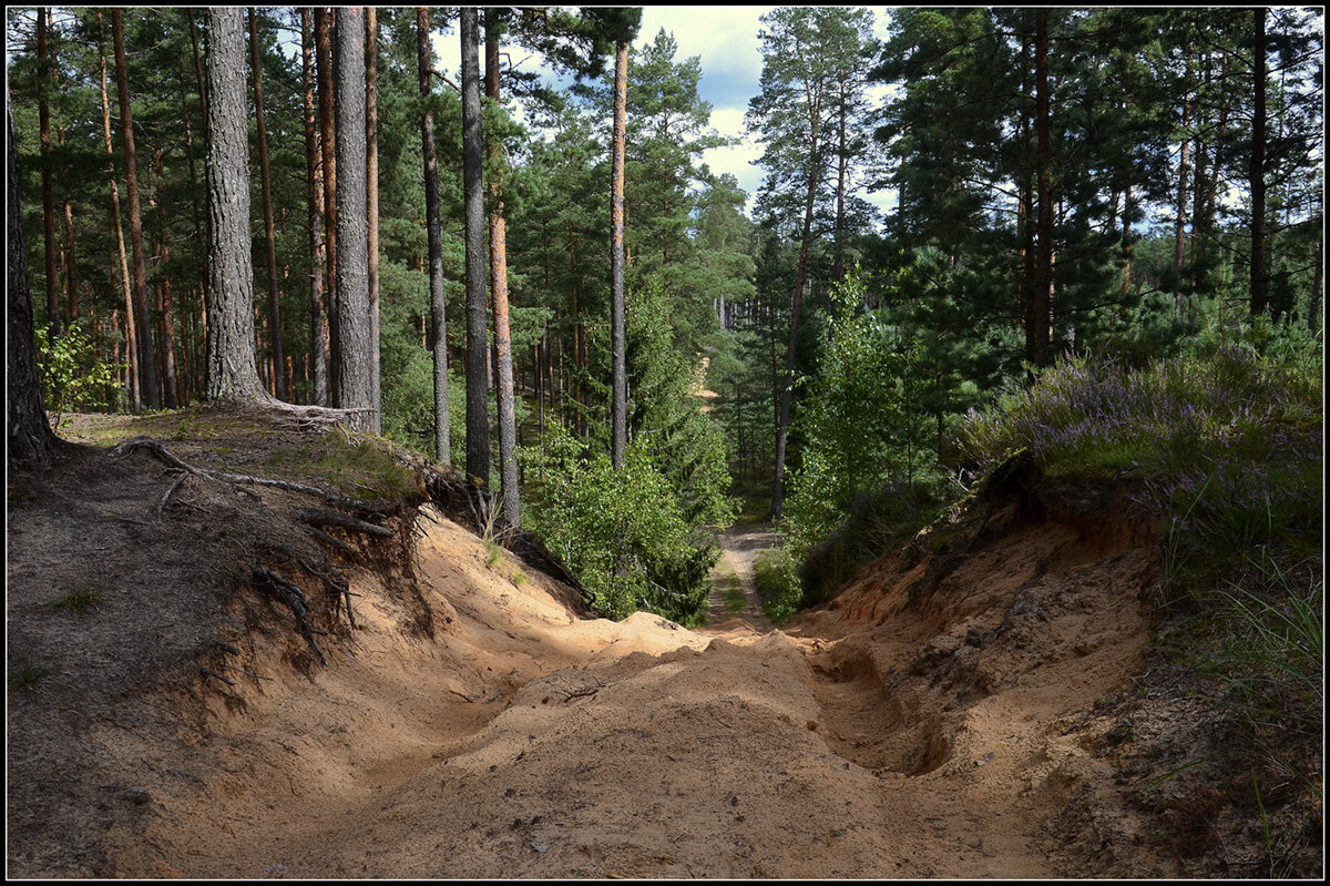 Август уходит.... - Aleksandr Gal