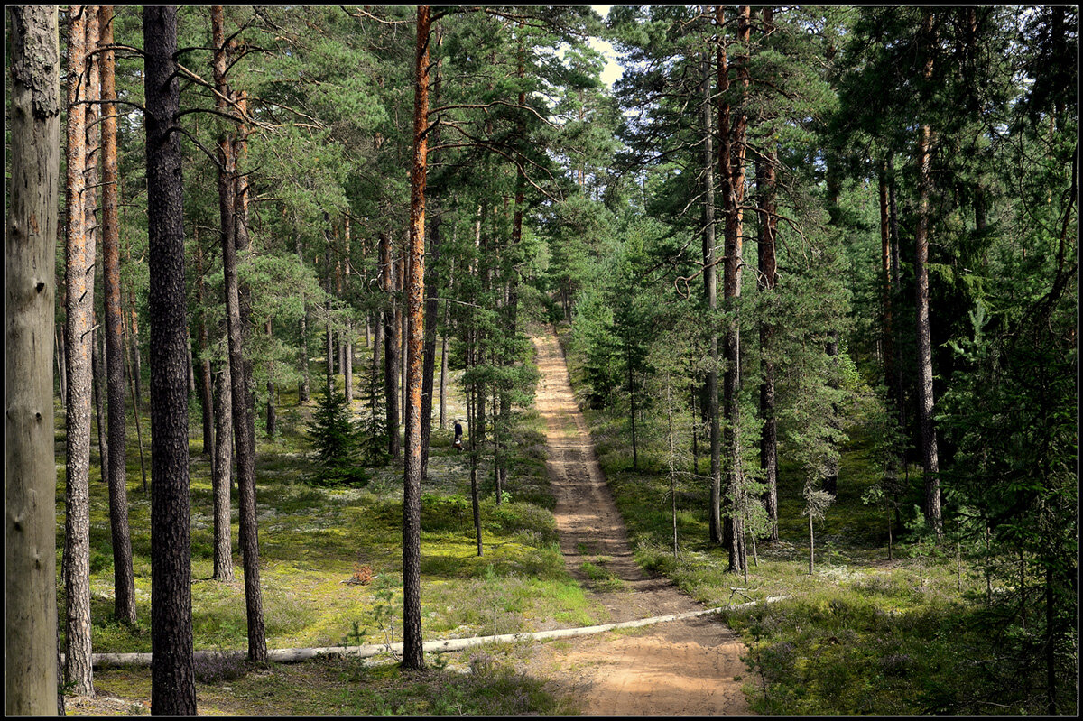 Лето уходит - Aleksandr Gal