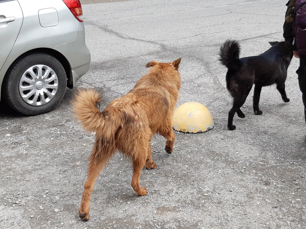 Конец июля - тоже середина лета - Галина Минчук