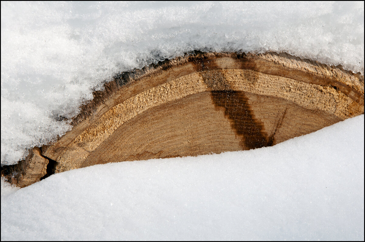 Март - **** vedin