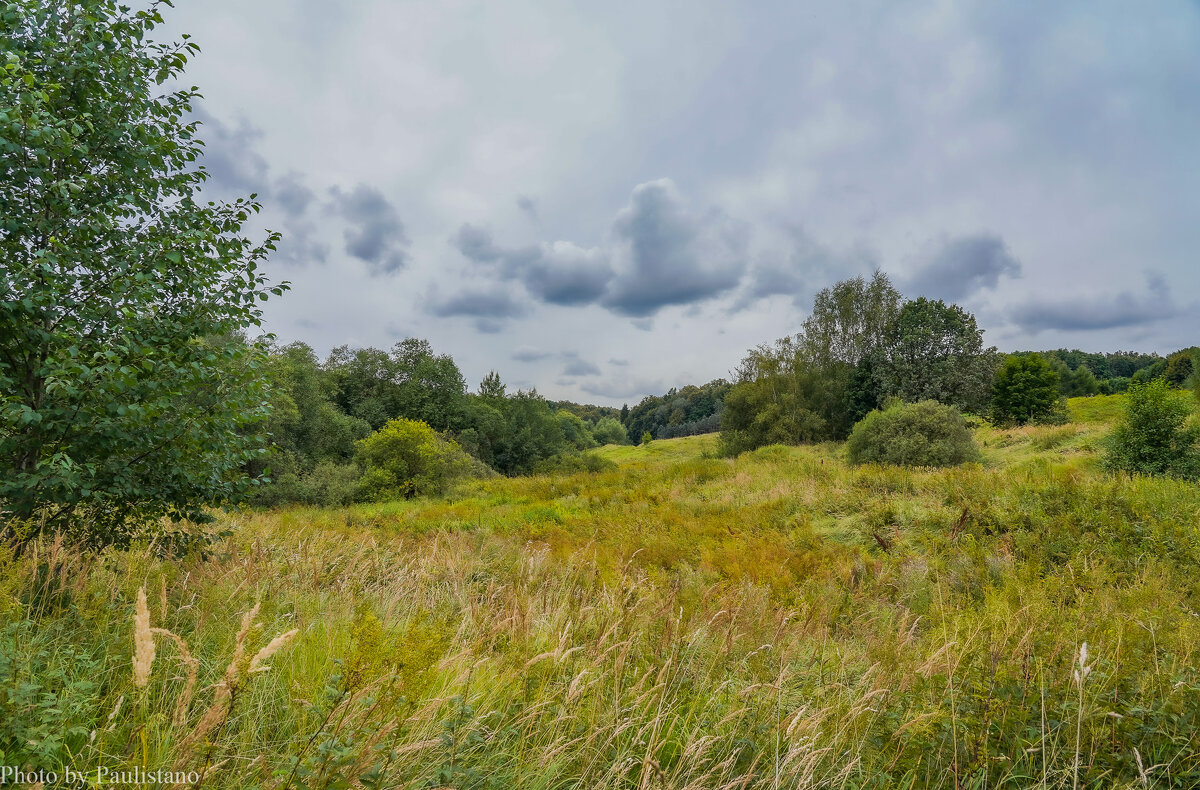 Август в Царицыно... - Владимир Жданов