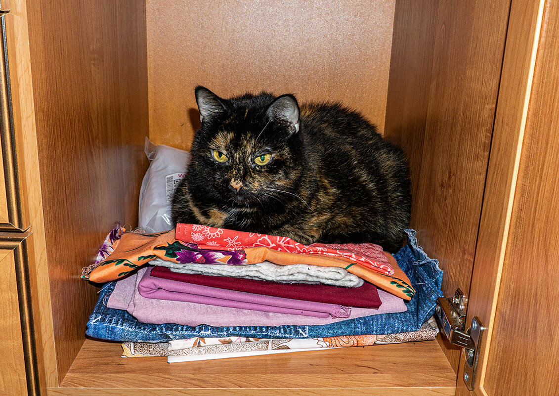 Моя помощница - Ирина Соловьёва