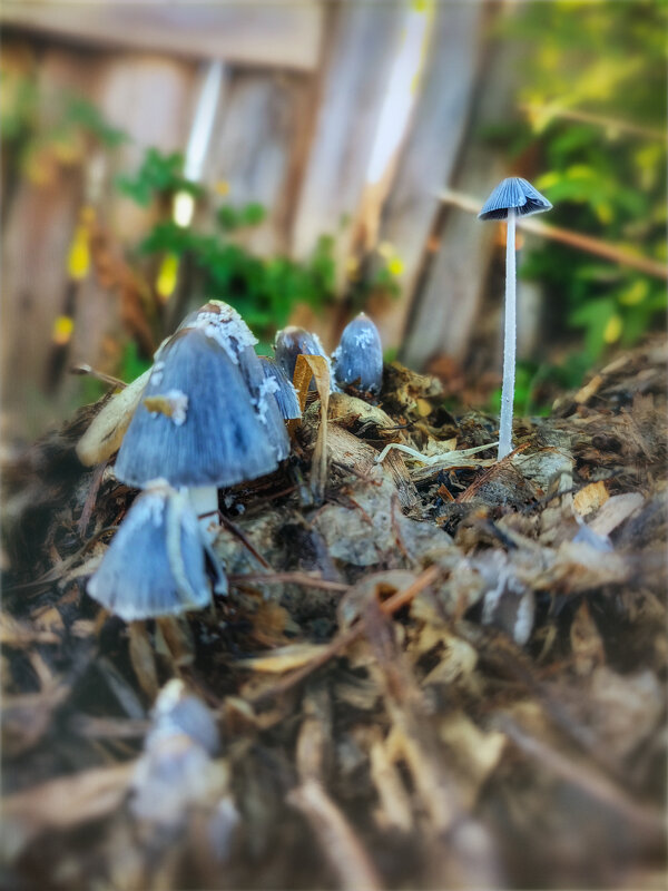 Равняйсь! Смирно! - AZ east3 Равняйсь! Смирно! - AZ east3