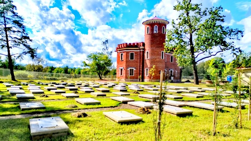 Пенсионерная конюшня и кладбище лошадей - 1 - Сергей 