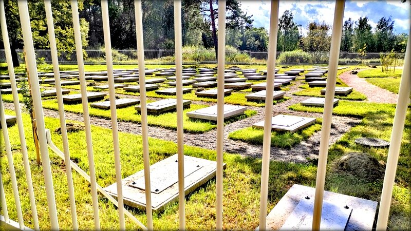 Пенсионерная конюшня и кладбище лошадей - 4 - Сергей Пенсионерная конюшня и кладбище лошадей - 4 - Сергей