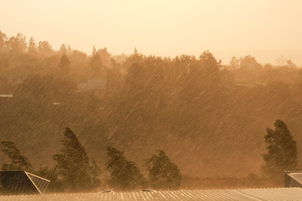 Просто летний дождь - Светлана Карнаух Просто летний дождь - Светлана Карнаух