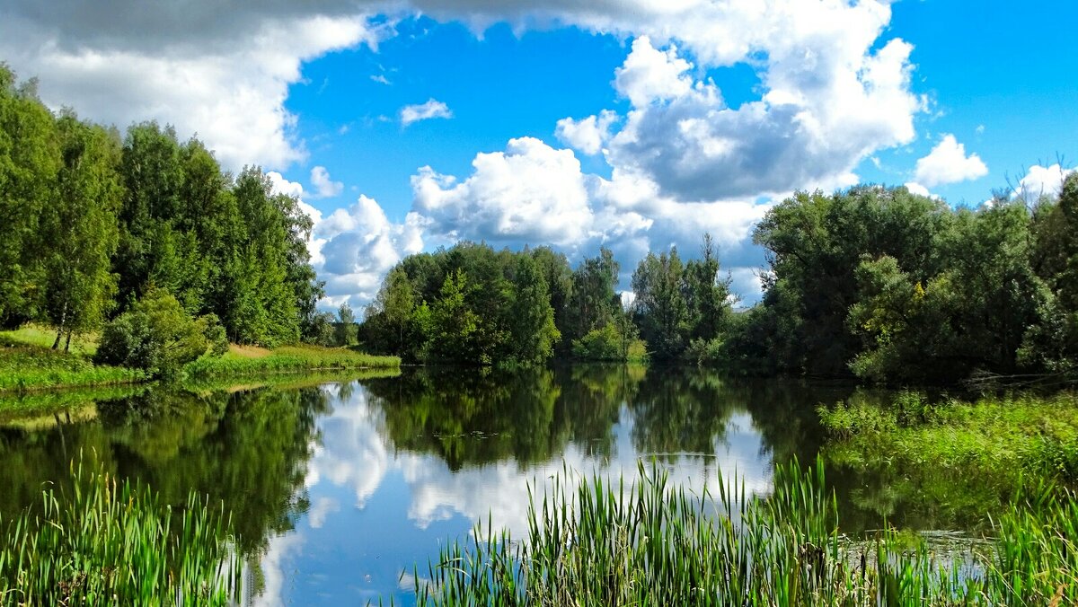 Природа в конце лета! - Милешкин Владимир Алексеевич Природа в конце лета! - Милешкин Владимир Алексеевич