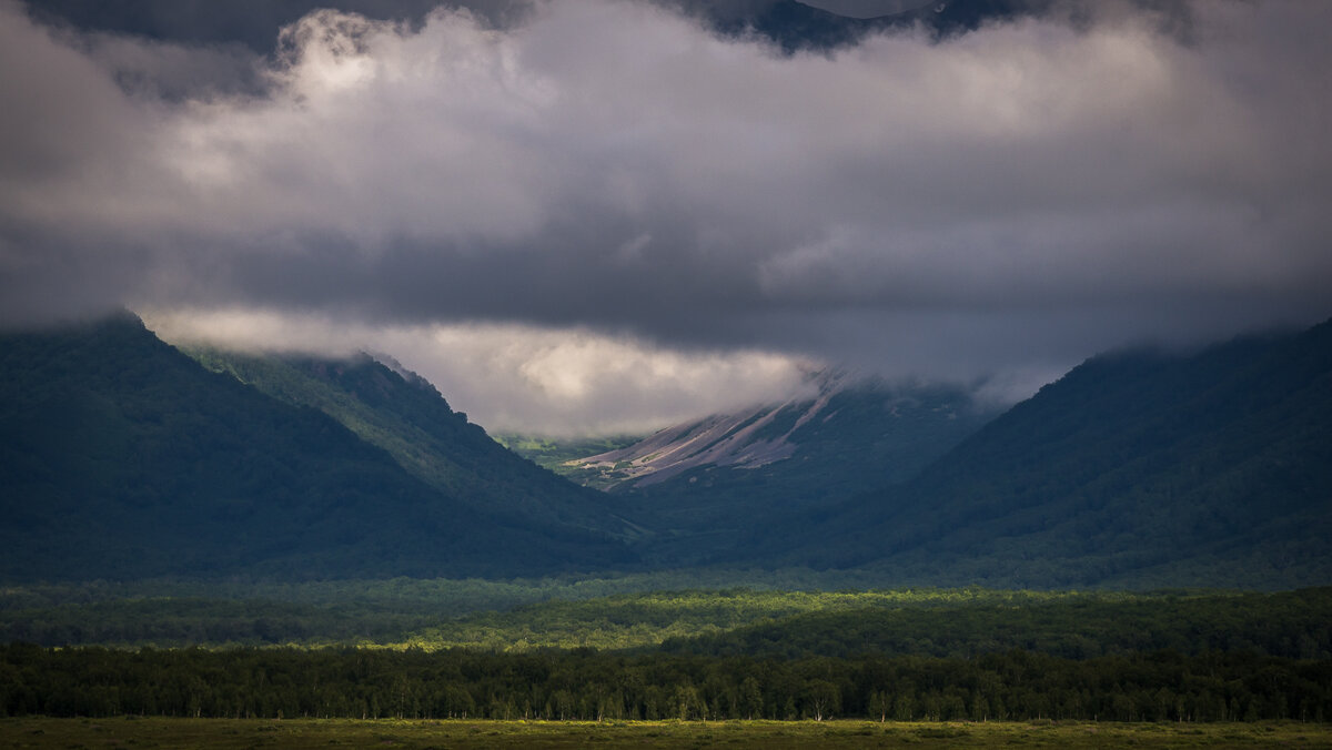 ... - Жора Житников