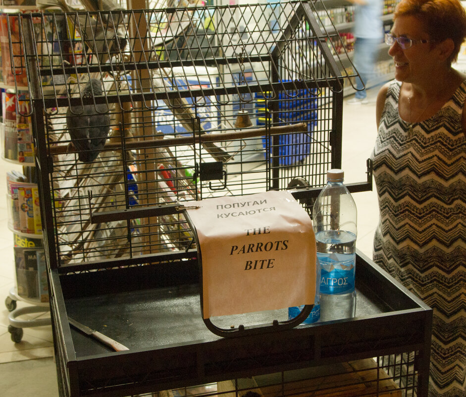 Кипр. Айя-Напа - Андрей 