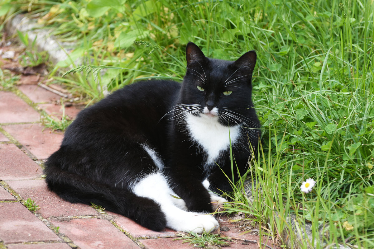 Весна в Ботаническом... Май. - Наташа *****