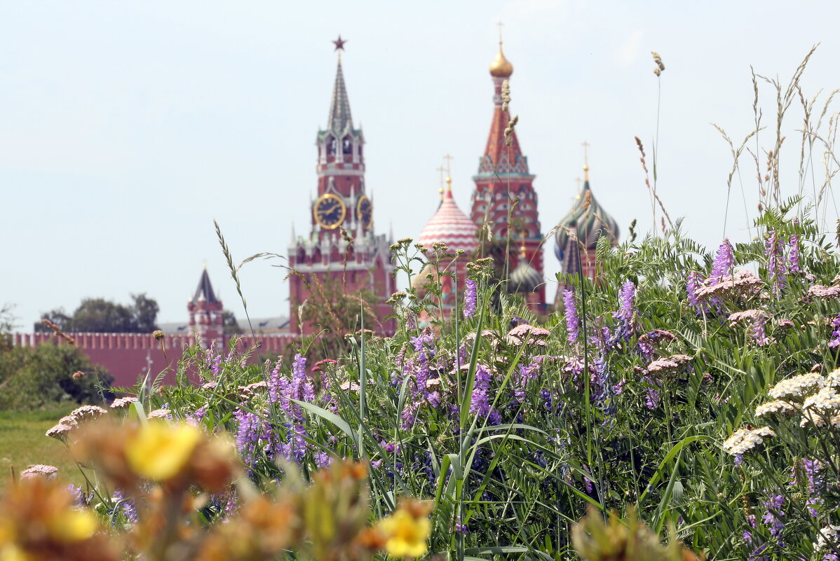 Зарядье в июле - Михаил Бибичков