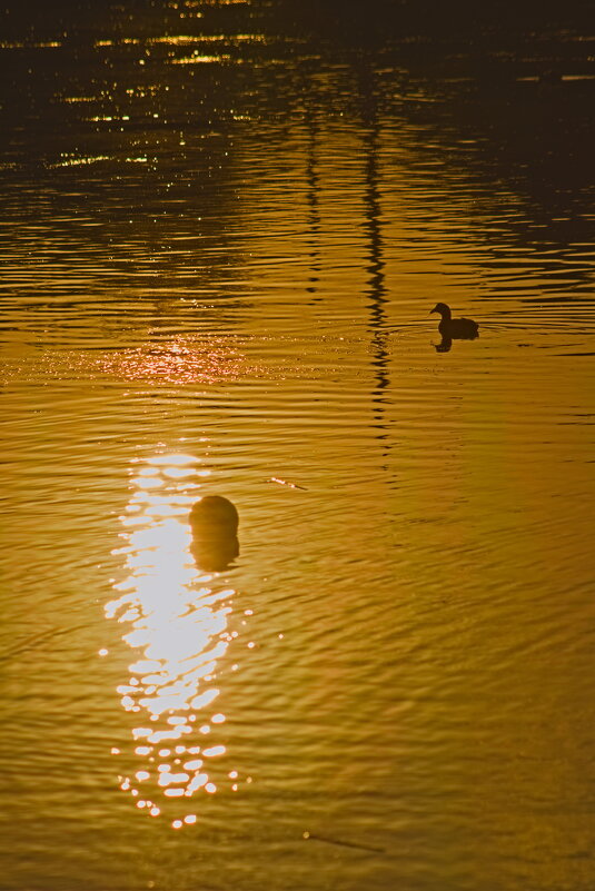 Утра начинается ,начинается )))) - Giant Tao /