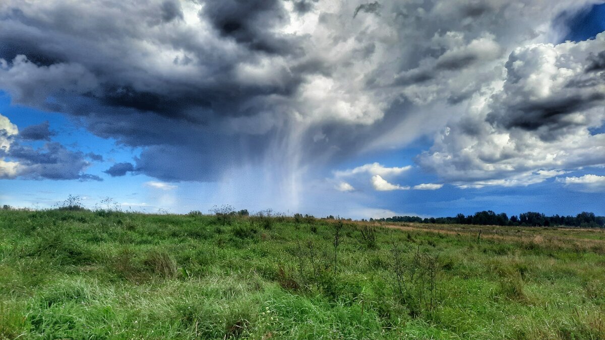 Летний дождь. - ast62 