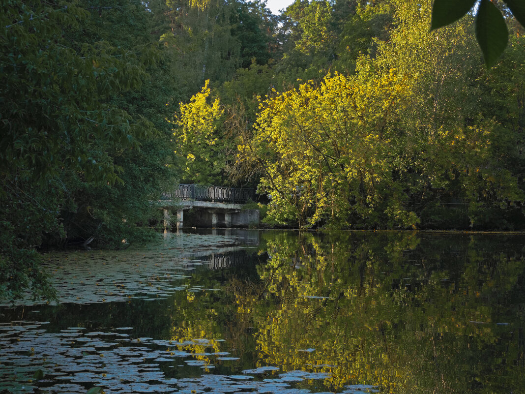 Мостик. - Сергей Фомичев