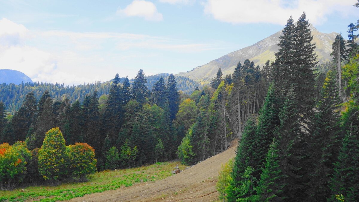 Кавказские горы - Рита Симонова