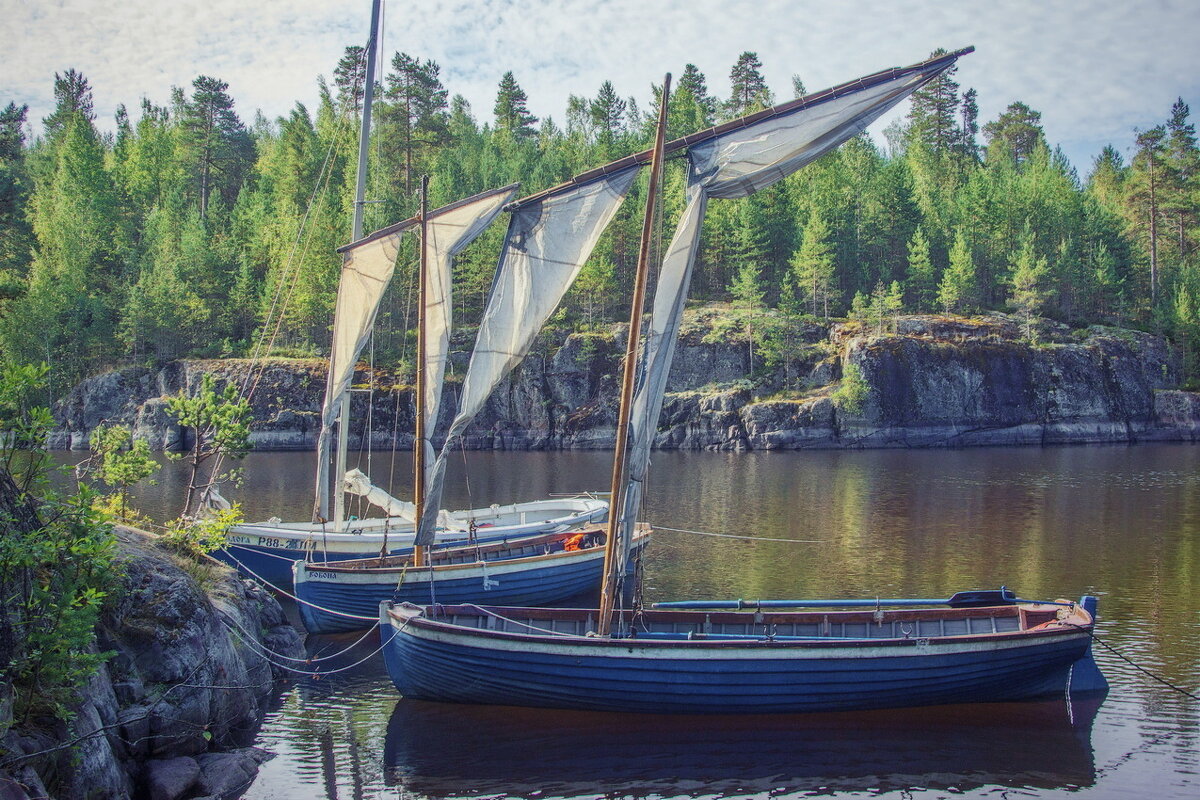 *** - Сергей  Могутов 