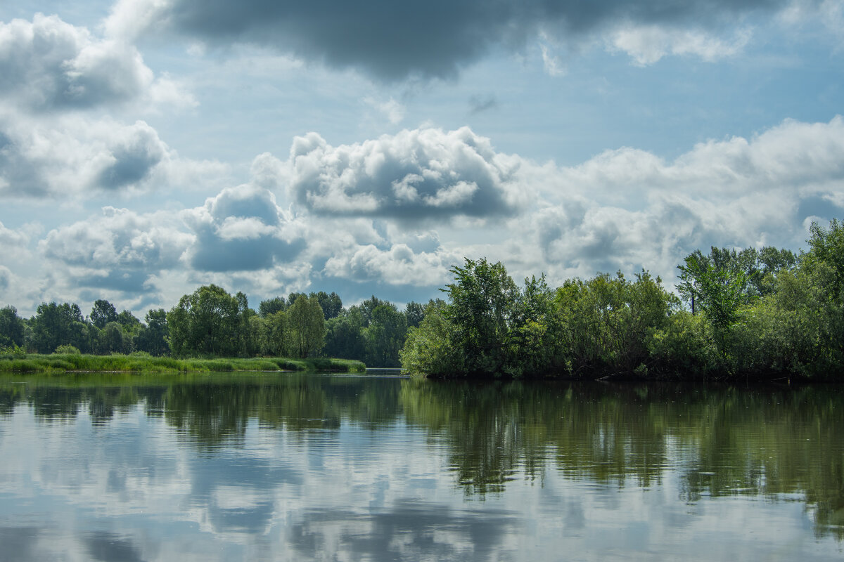 *** - Николай Чекалин
