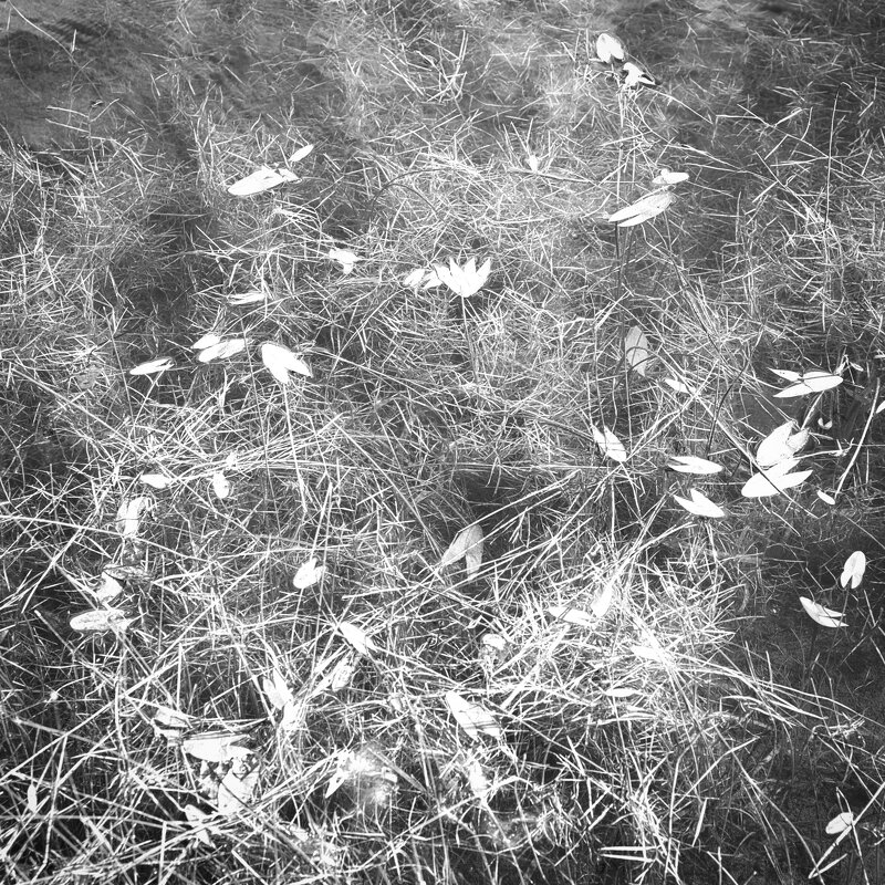 Назва. отсу. - Денис Безногов