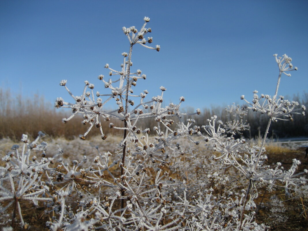 Утро - Anna Ivanova