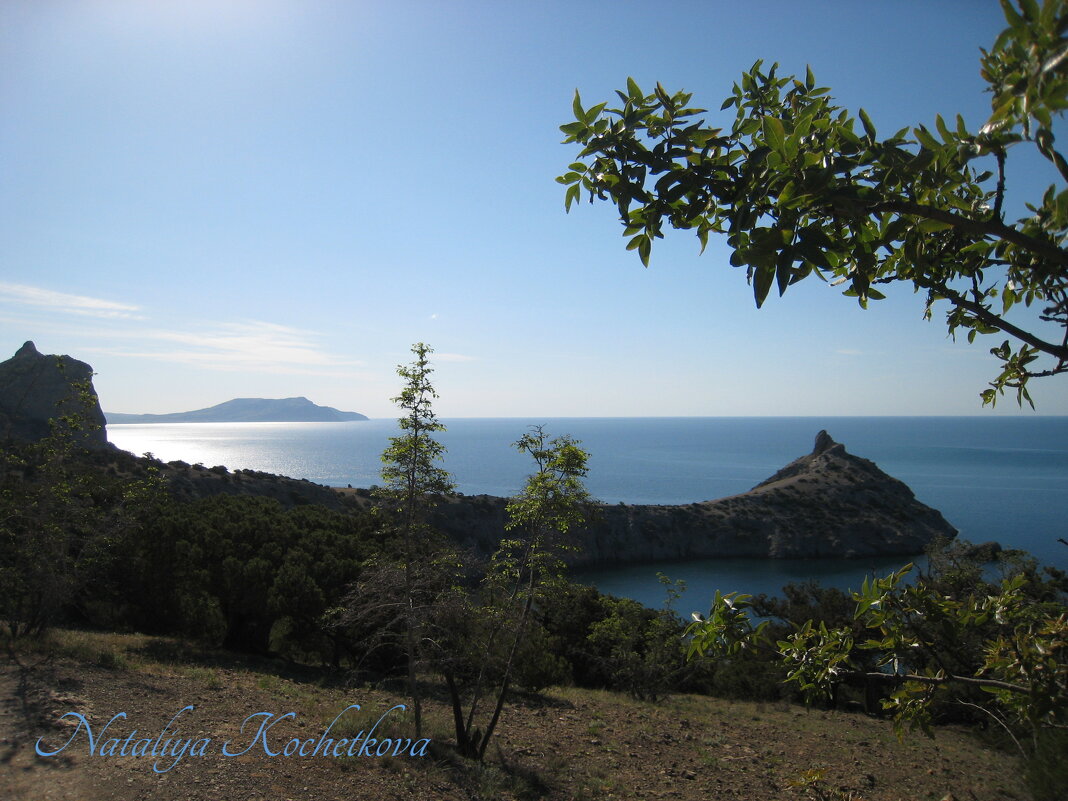 Природа Крыма - Amazing Cosmea