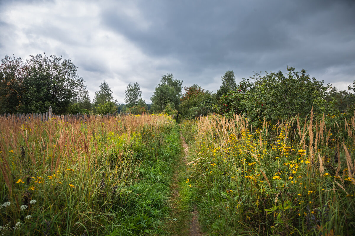 Трава по пояс... - Nyusha .