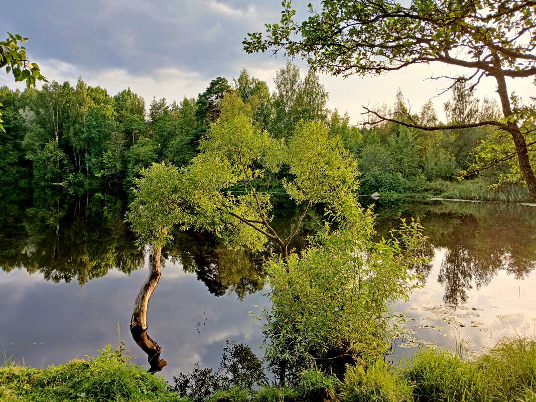 Вечер августа. - Лия ☼