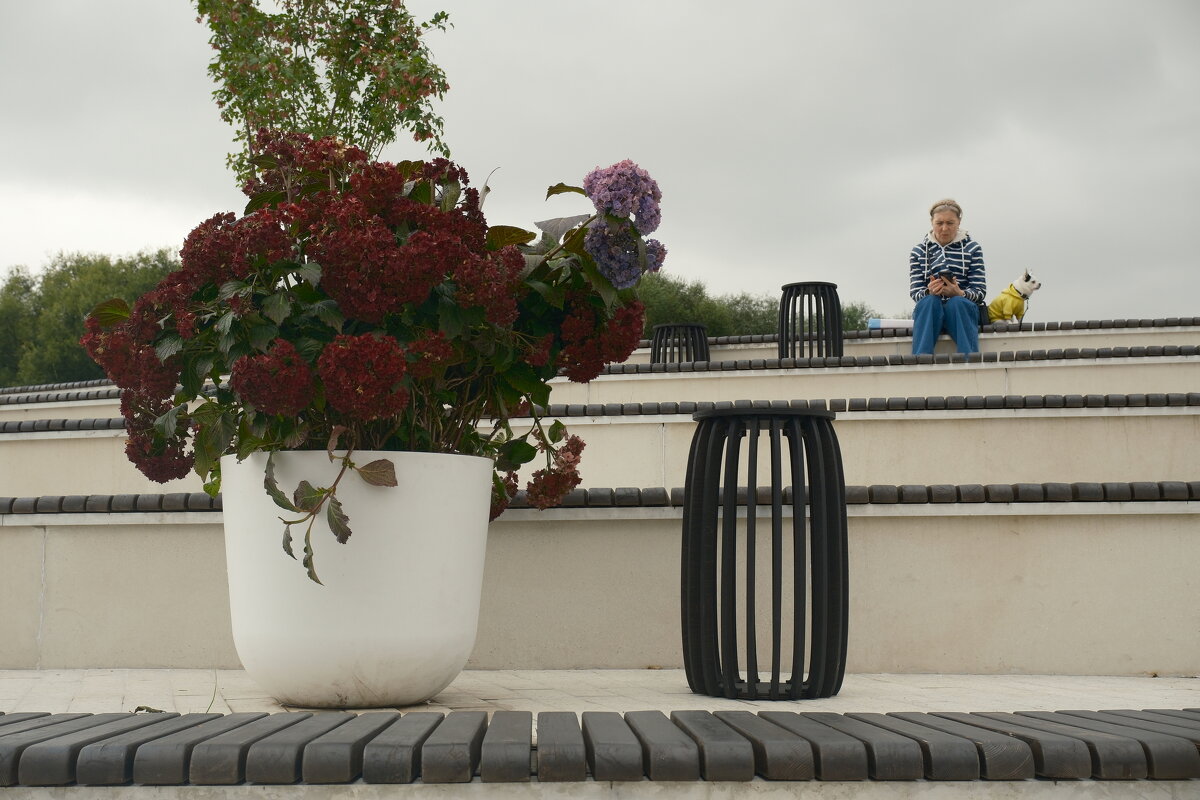 Коломенская набережная - Лютый Дровосек