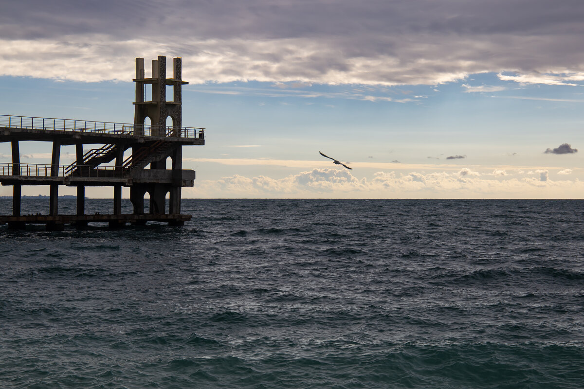 У самого Чёрного моря - Светлана Карнаух