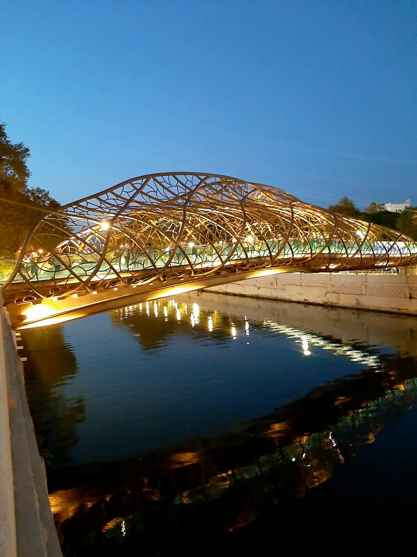 Мост «Волшебный лист» - Tata Wolf