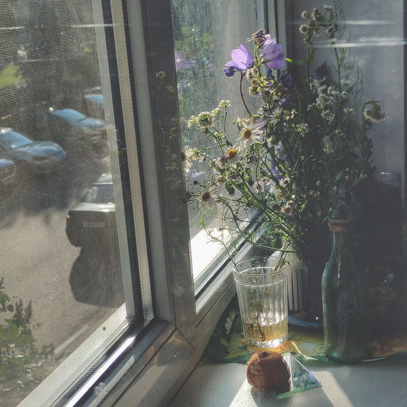 Солнце заглянуло - Ирина Курмалеева