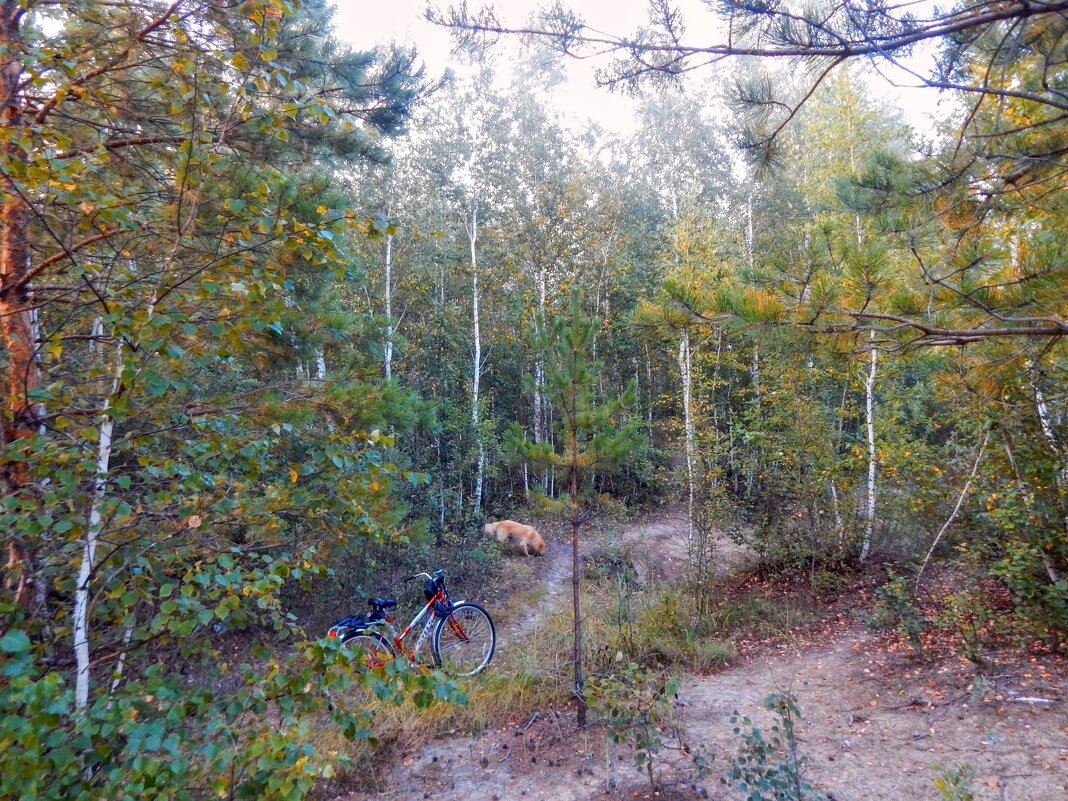 С такими друзьями хоть куда! :) - Елена Хайдукова  ( Elena Fly )