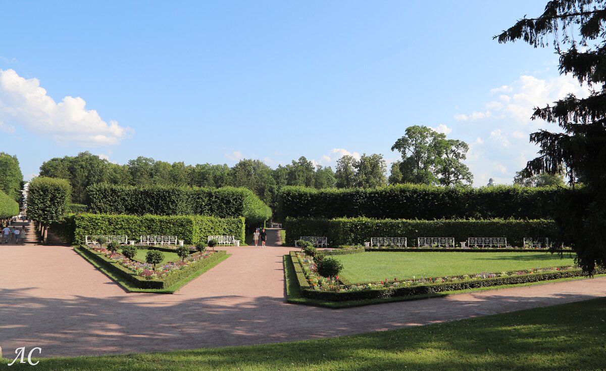 Аллеи старого сада - Любовь Сахарова