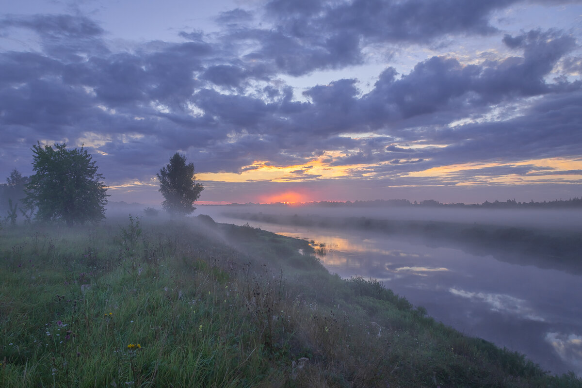 **** - Елизавета .