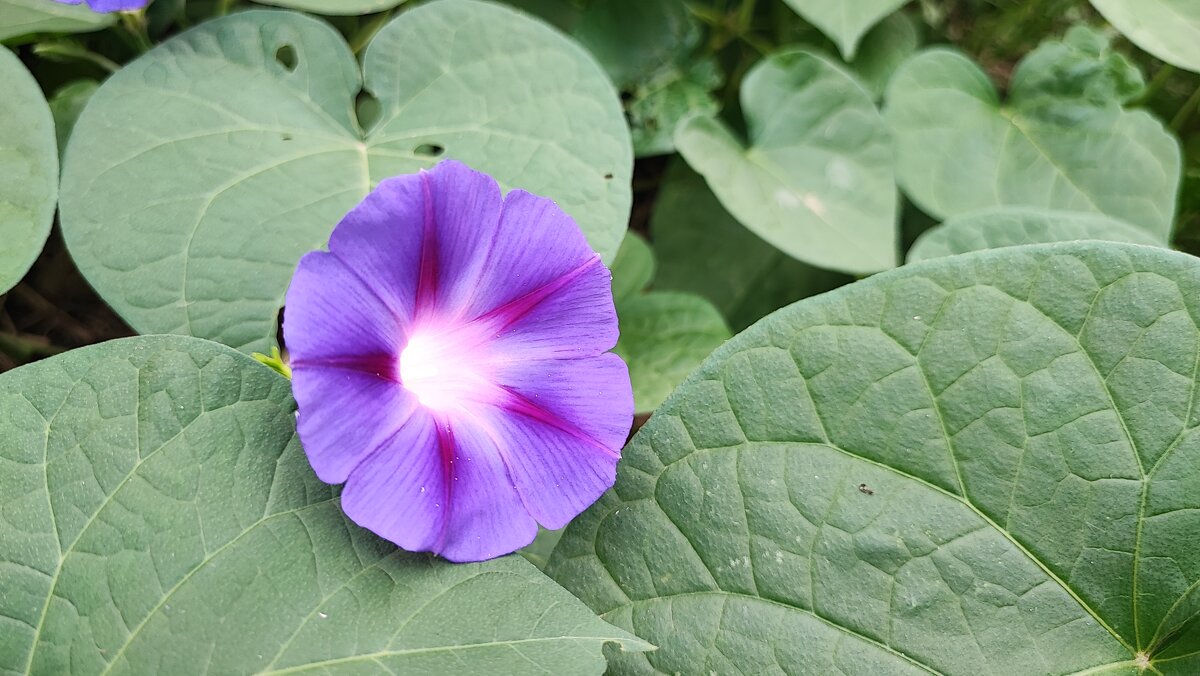 ,,, - Сергей Тимоновский