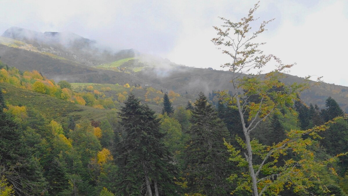 Кавказские горы - Рита Симонова