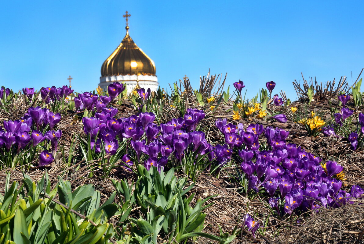 3 апреля в Музеоне - Михаил Бибичков