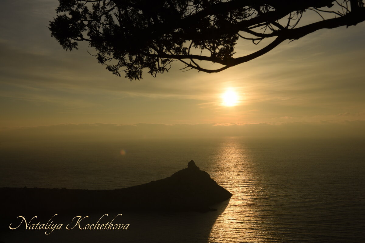 Природа Крыма - Amazing Cosmea