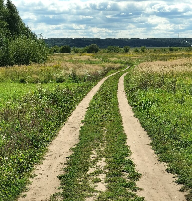 Дорога - Любимова Ольга 